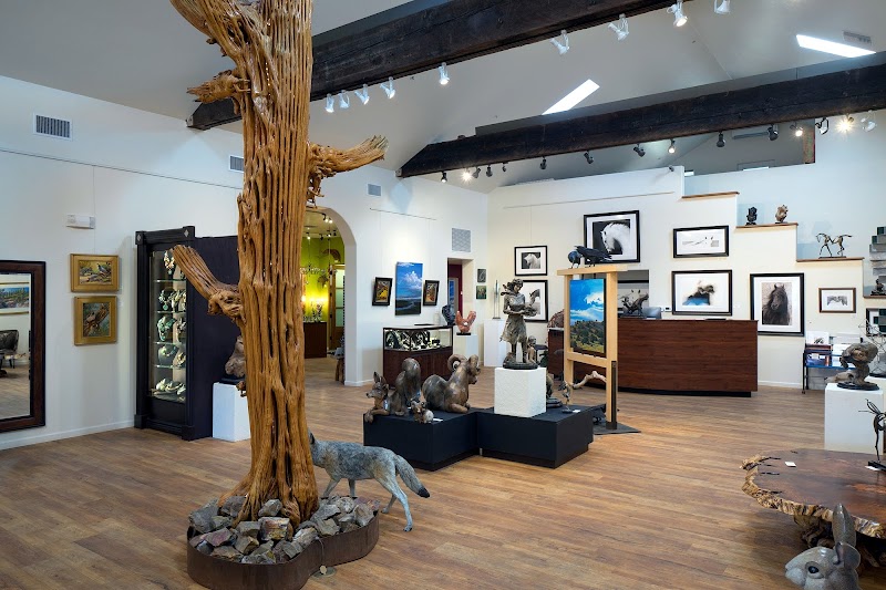 Photo of K. Newby Gallery & Sculpture Garden