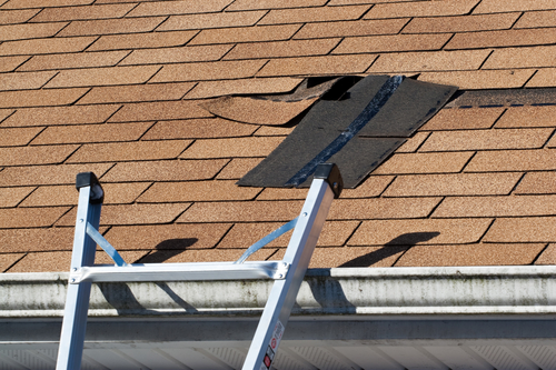 Locke Roof & Leak Repairs photo 2