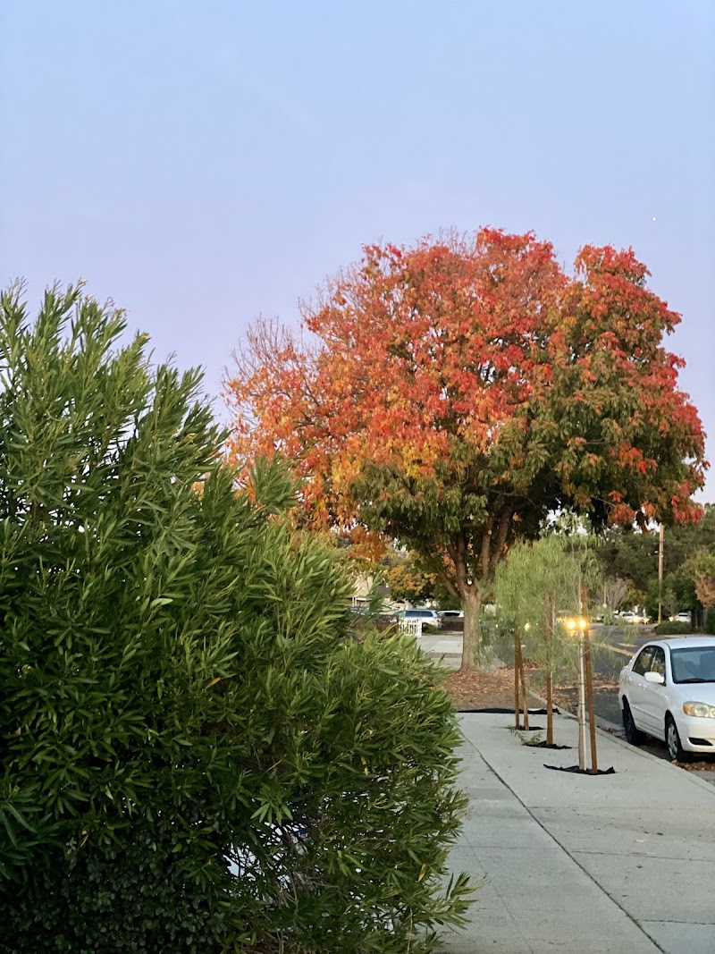 Cami Czarny | Top REALTOR ® in Silicon Valley photo 5