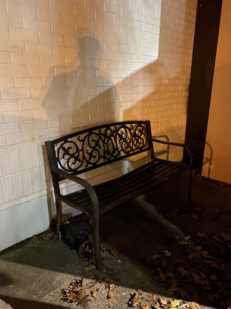 Secluded Introvert Bench of Mill Valley #001 photo 3