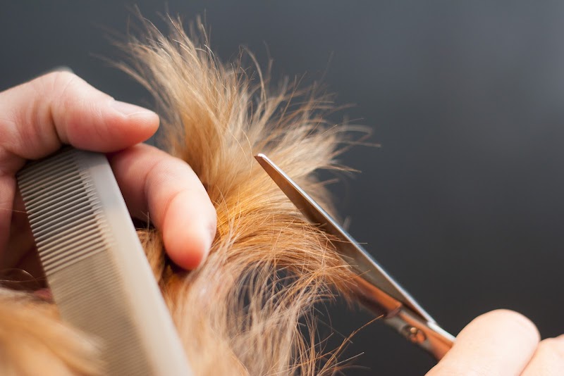 Photo of Tammy Hair Care