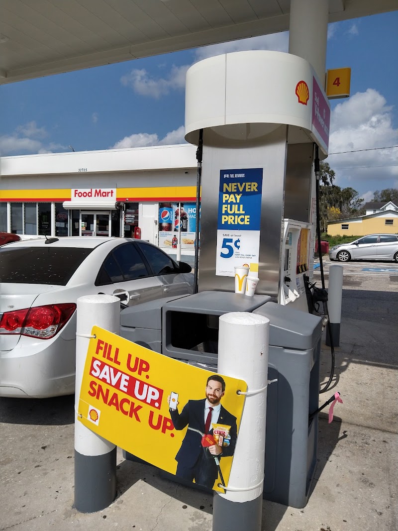 Shell photo 4