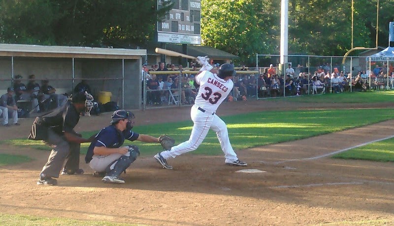Sonoma Stompers Baseball Club photo 3