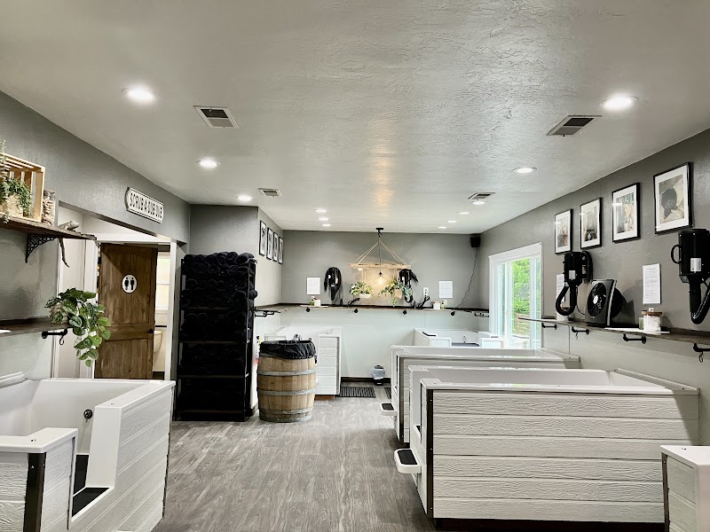 Sebastopol Paw Spa photo 4