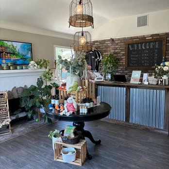 Sebastopol Paw Spa photo 3