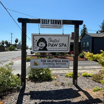Sebastopol Paw Spa photo 2