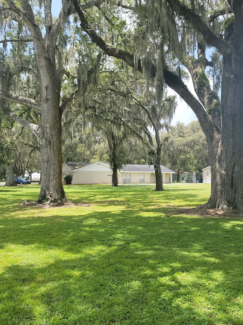 Chateau Forrest and Plantation oaks photo 3