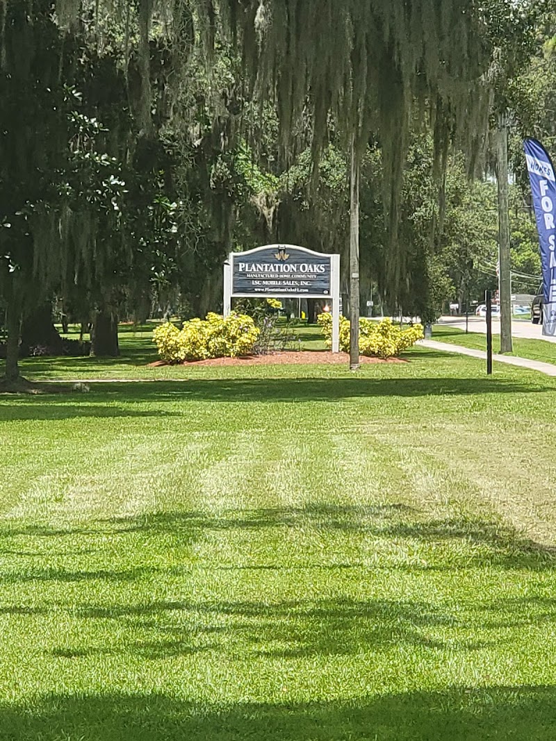 Chateau Forrest and Plantation oaks photo 2