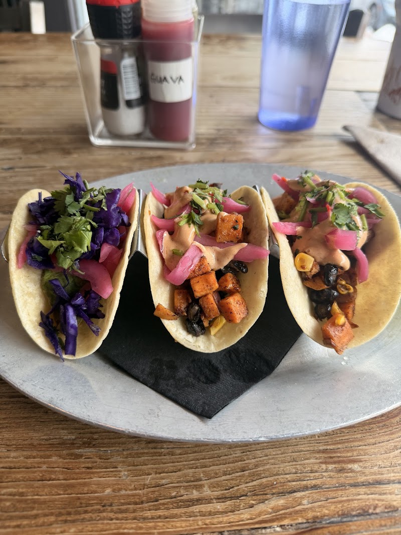 Vida Taco Bar photo 3