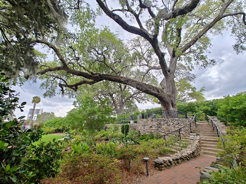 Cummer Museum of Art & Gardens photo 3