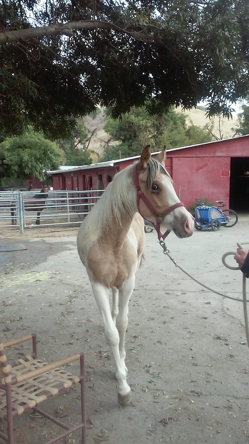 Photo of KR Ranch