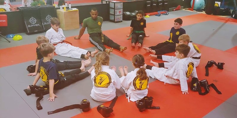 Buggs Martial Arts LLC photo 3