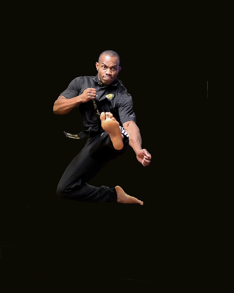 Buggs Martial Arts LLC photo 4