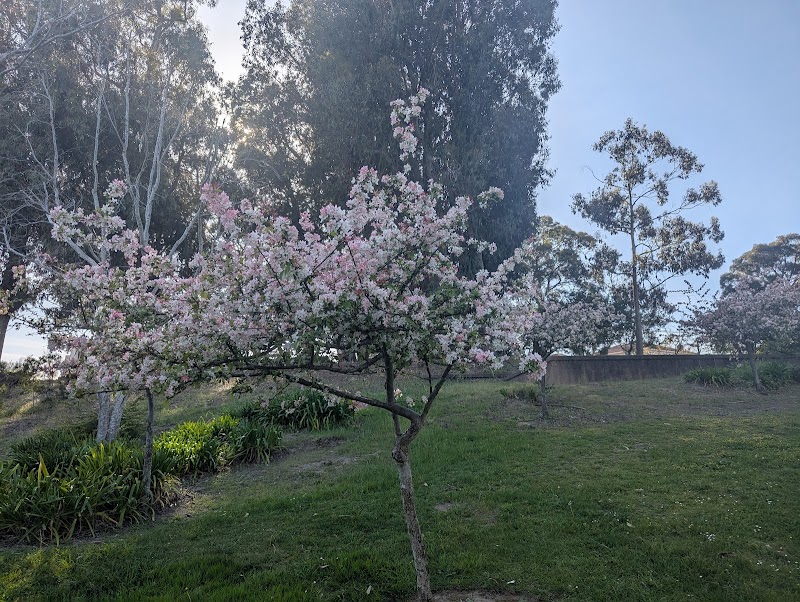 Green Hills Park photo 5