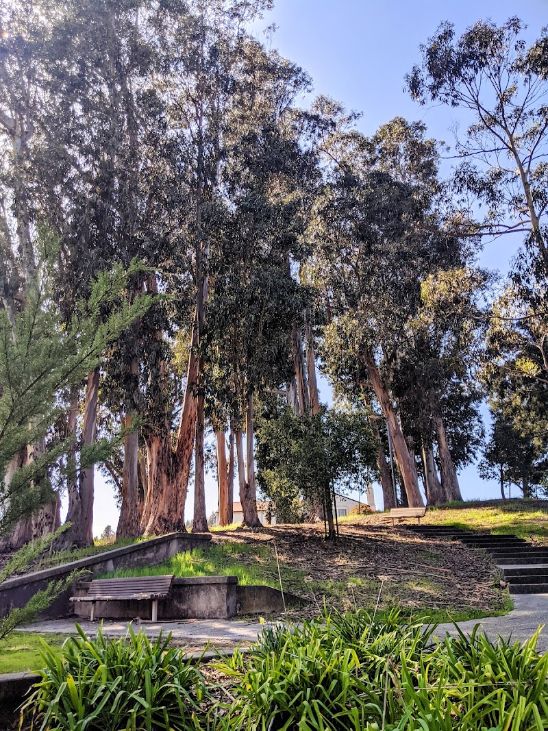 Green Hills Park photo 3