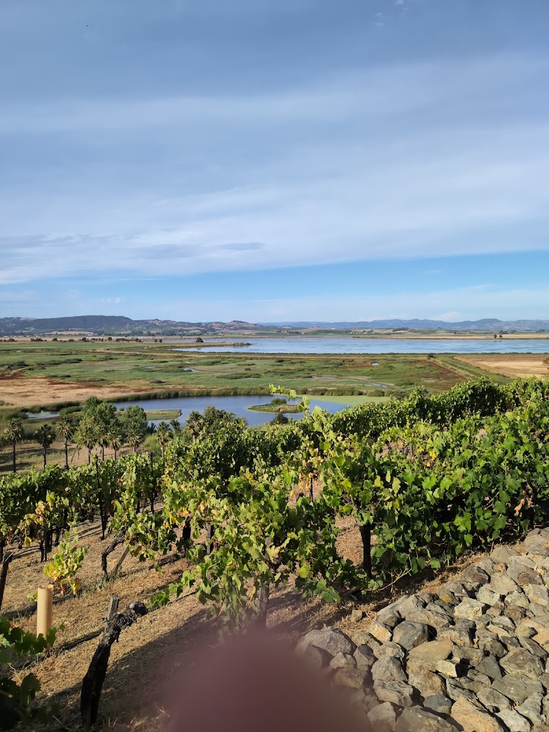Photo of Napa-Sonoma Marshes Wildlife Area - Wingo Unit