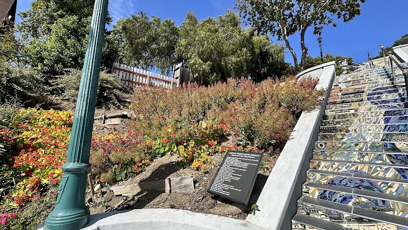 Capitol Street Steps photo 2