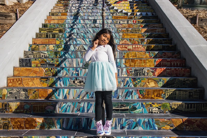Capitol Street Steps photo 5
