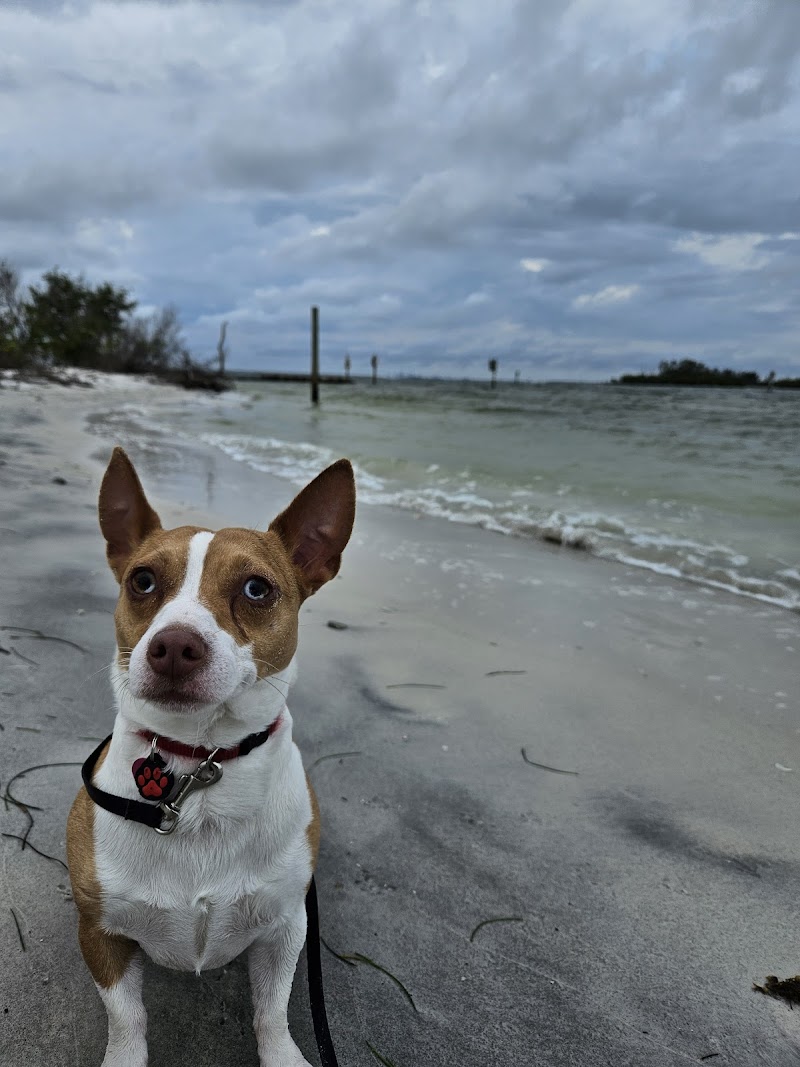 Apollo Beach Observation Tower photo 5