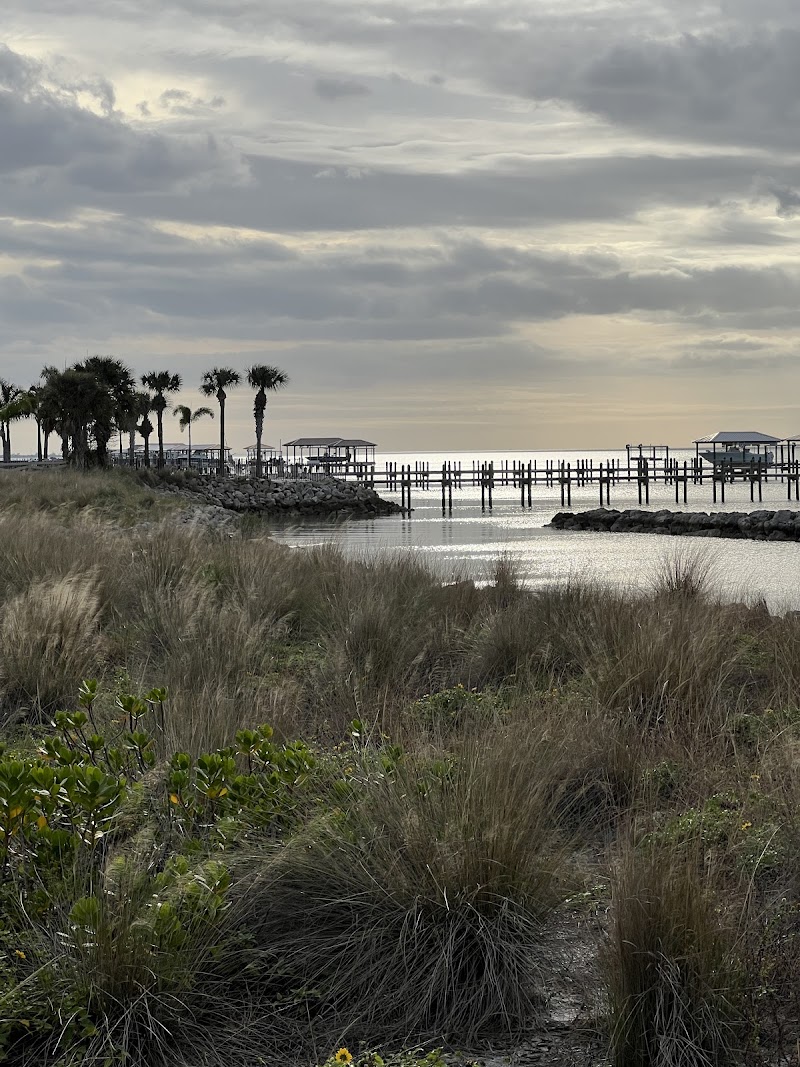 Apollo Beach Observation Tower photo 3