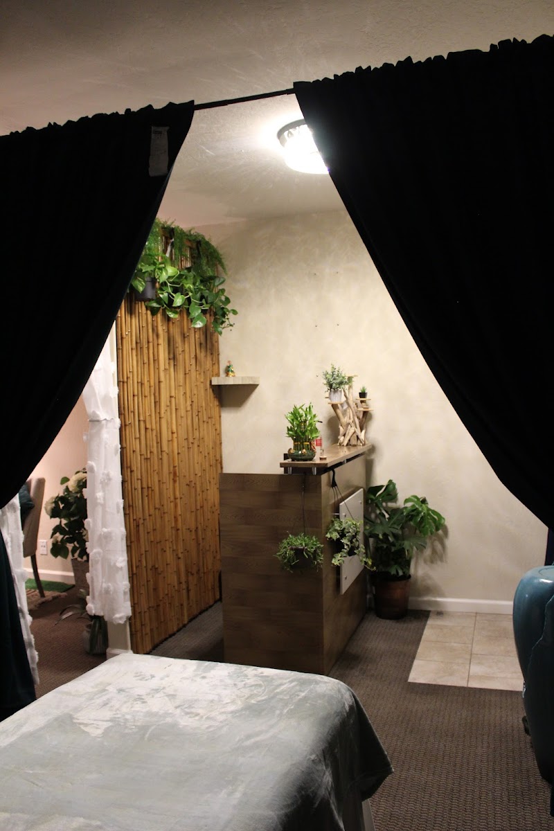 Vana Vari Massage & Bodywork photo 2