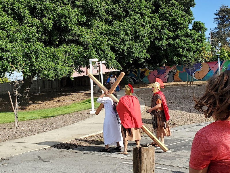 Jack Farrell Park photo 5