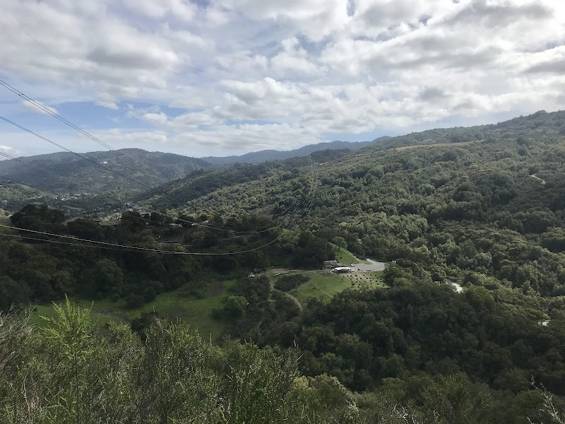 Sycamore Group Picnic Area photo 5