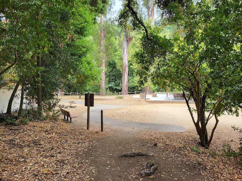Sycamore Group Picnic Area photo 3