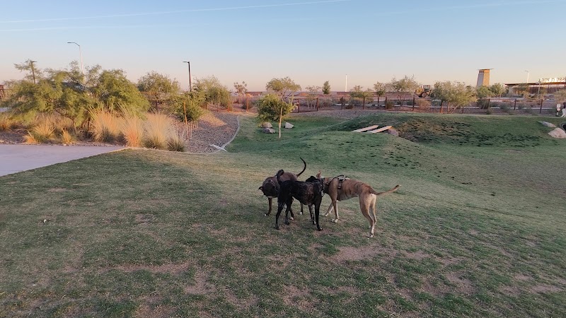 Ruff Ranch Dog Park at Painted Sky Park photo 3