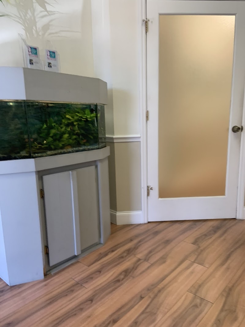 Levin Chiropractic photo 2