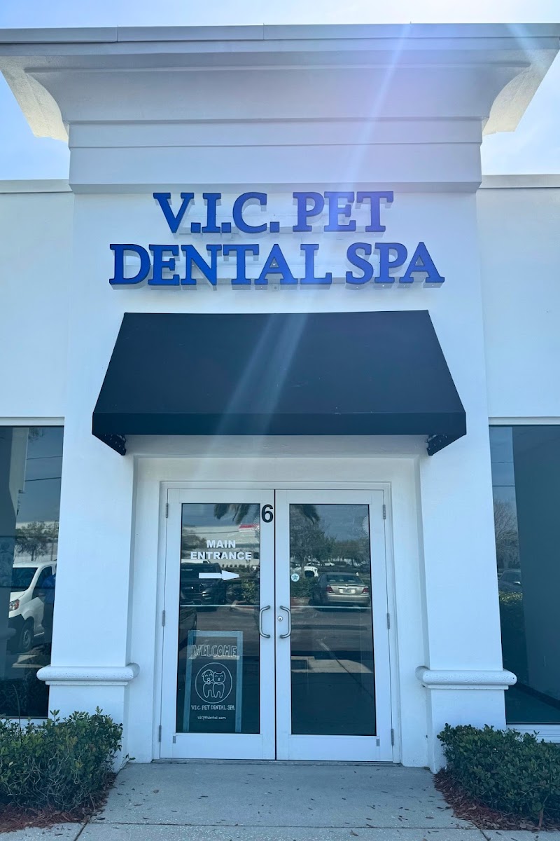 V.I.C. Pet Dental Spa - Oldsmar photo 3