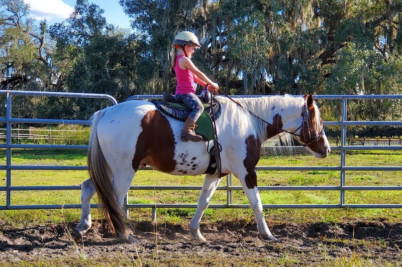 Photo of Wise Owl Horse Ranch