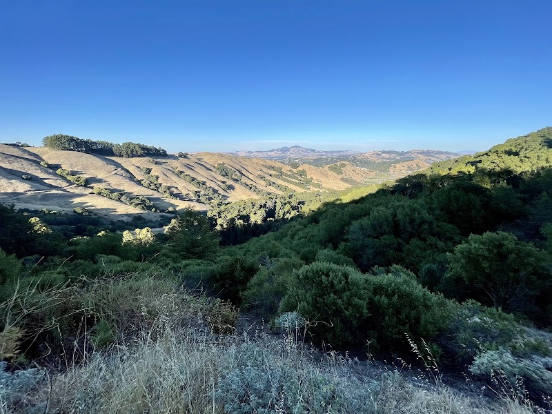 Photo of Laurel Picnic Area