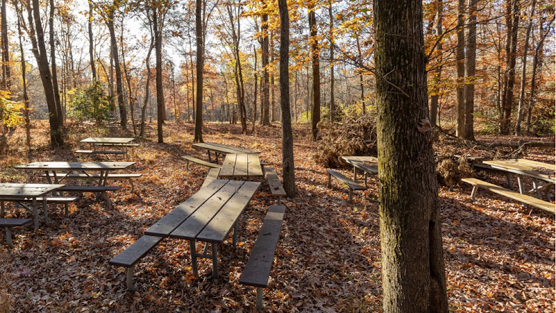 Laurel Picnic Area photo 5