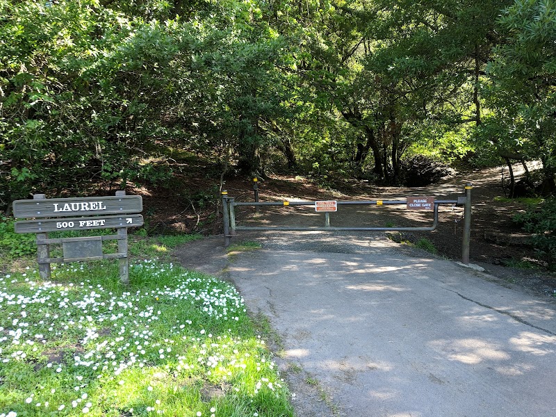 Laurel Picnic Area photo 3