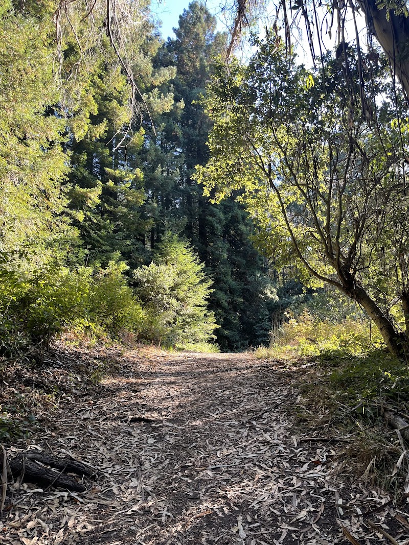Laurel Picnic Area photo 2