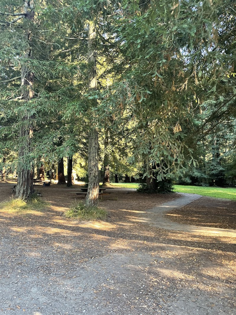 Laurel Picnic Area photo 4