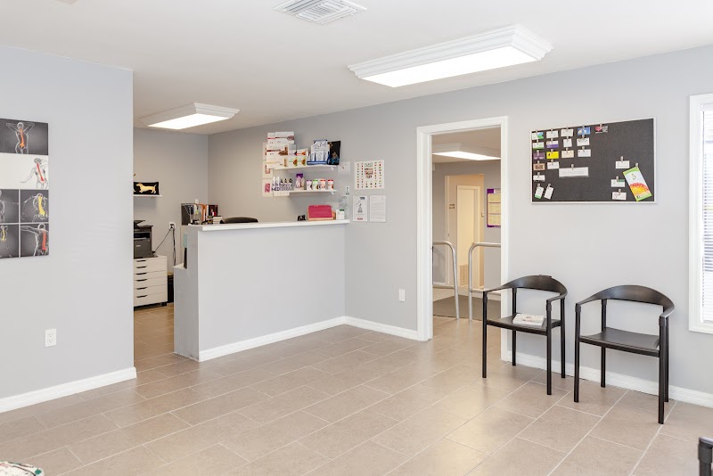 Family Chiropractic Plus photo 3