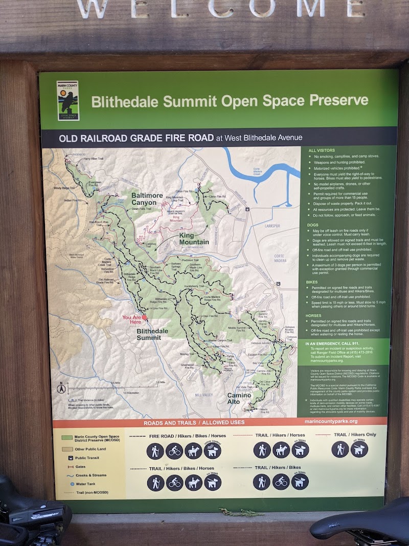Blithedale Summit Trailhead photo 5