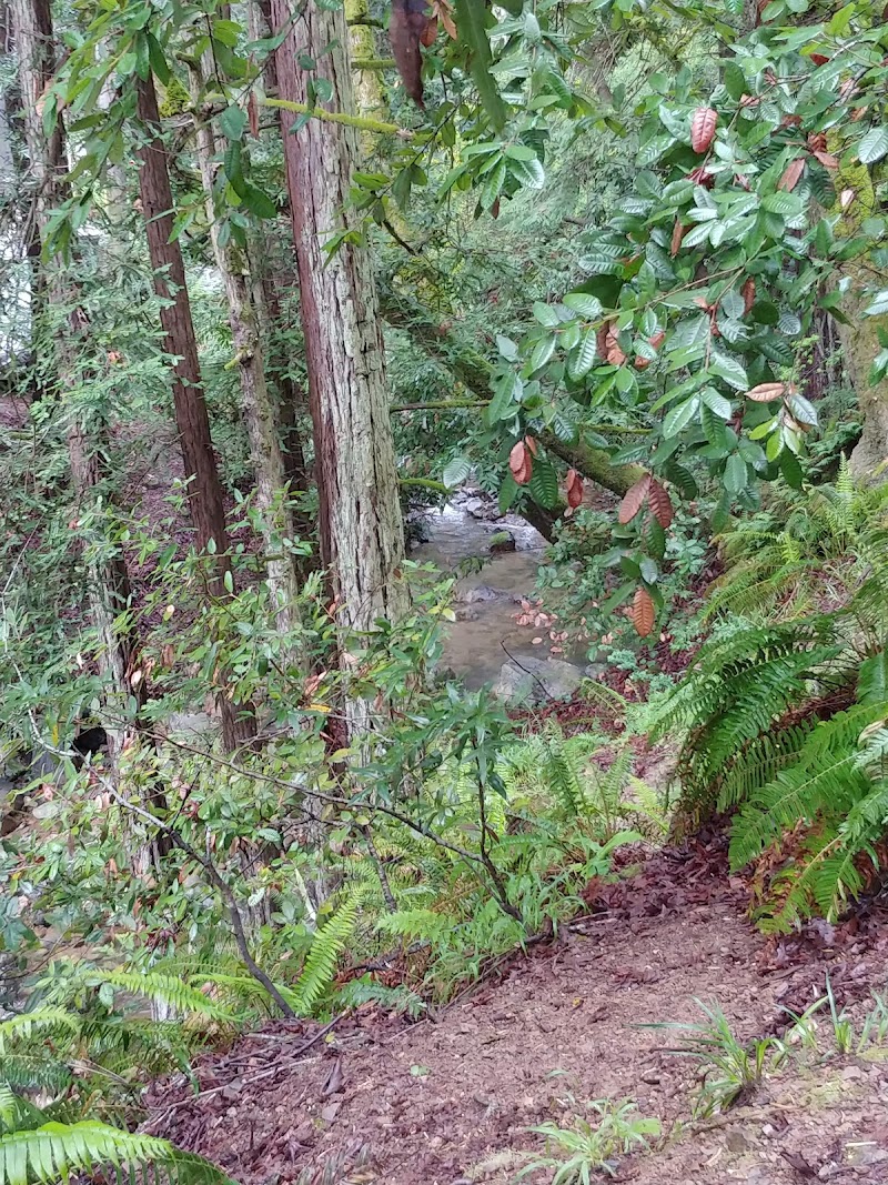 Blithedale Summit Trailhead photo 4