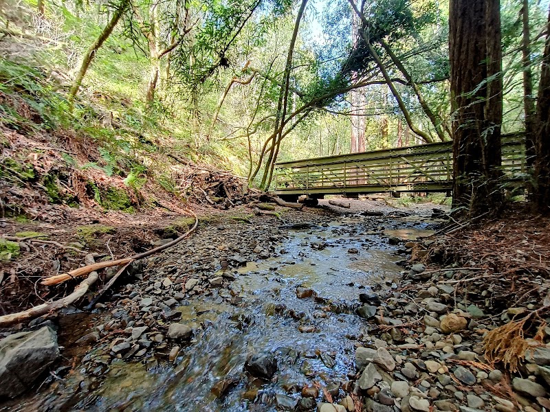 Photo of Blithedale Summit Trailhead