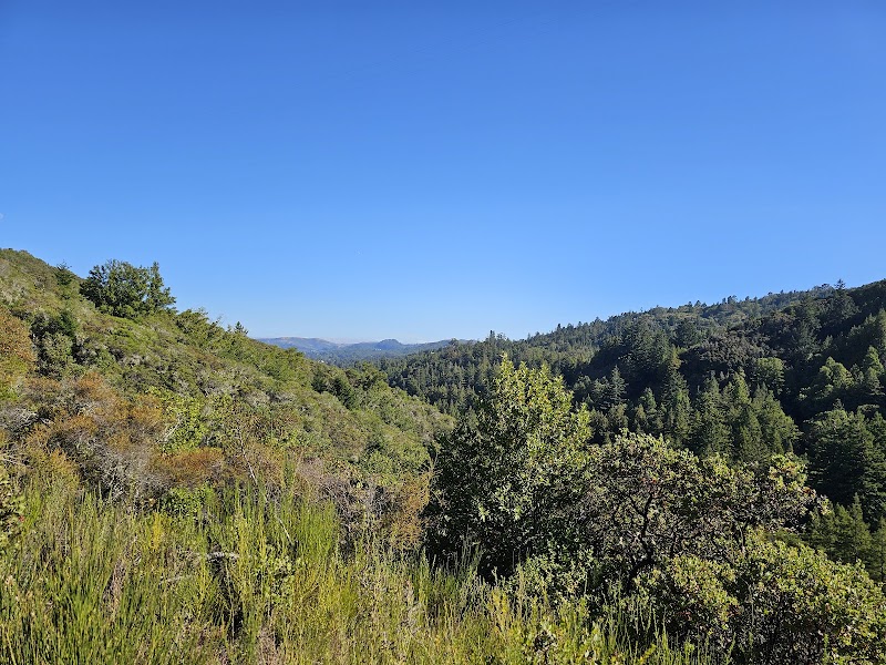 Blithedale Summit Trailhead photo 3