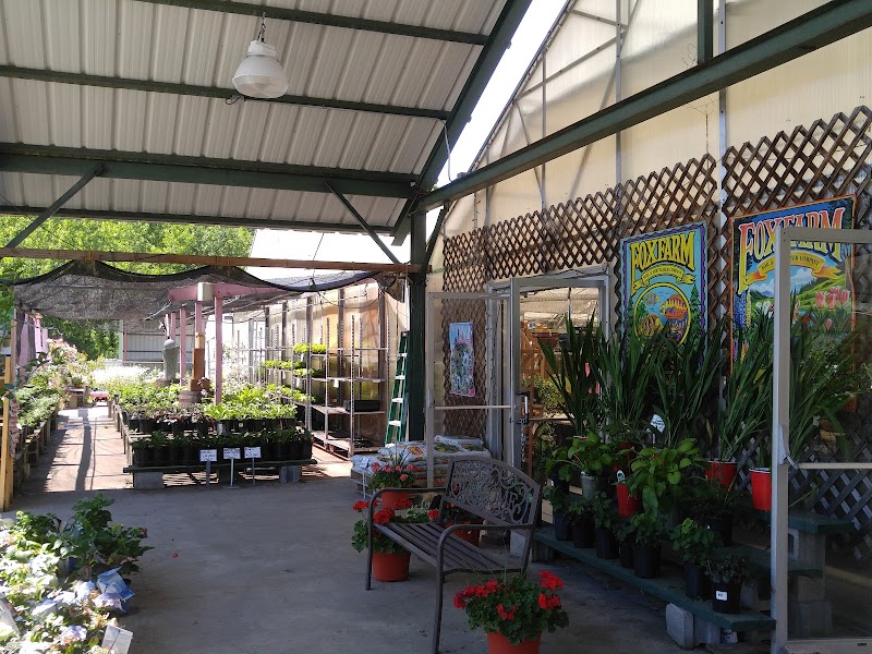 Photo of Hewitt's Garden Center Wilton