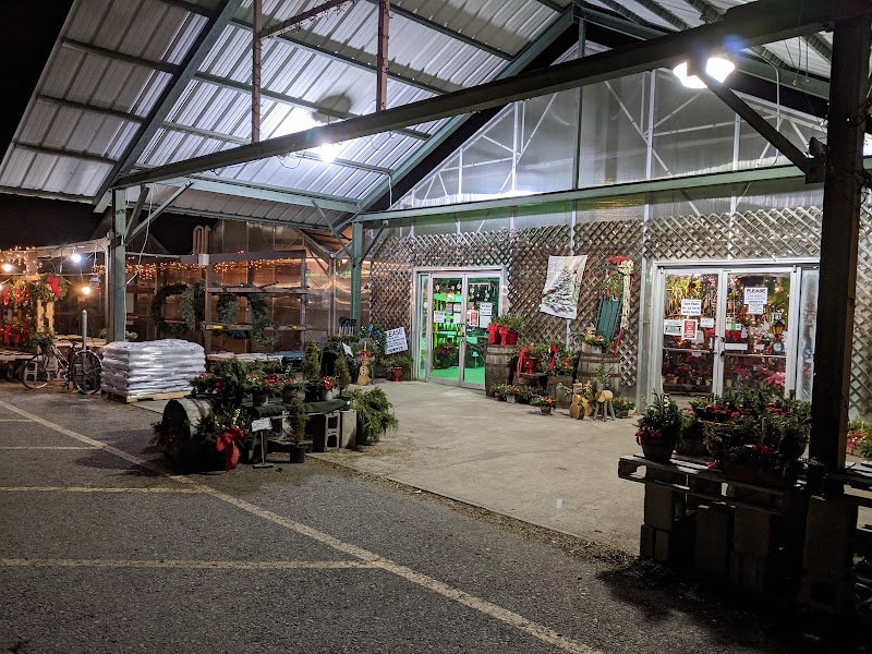 Hewitt's Garden Center Wilton photo 4