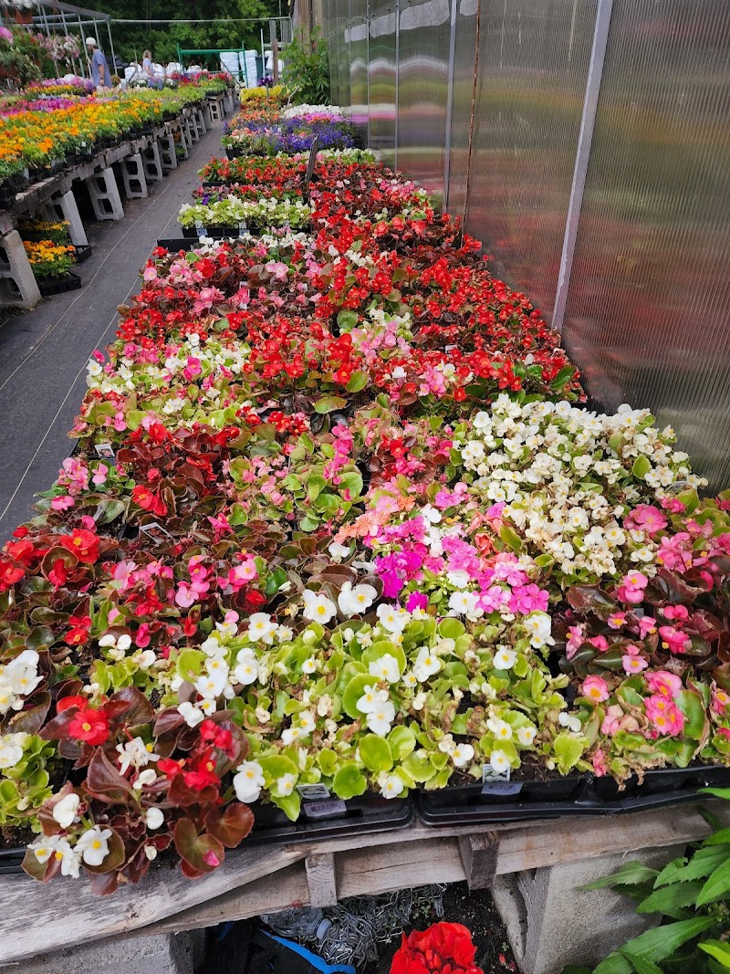 Hewitt's Garden Center Wilton photo 3
