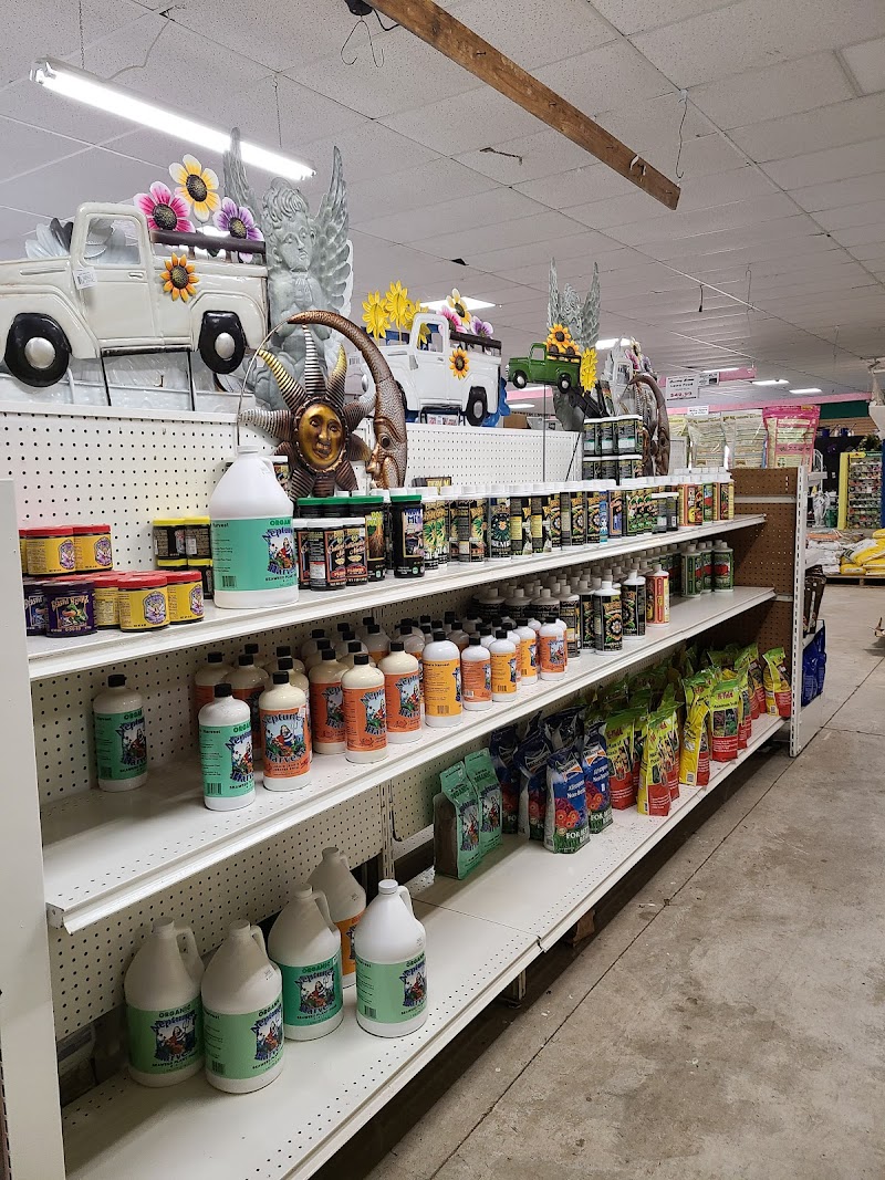 Hewitt's Garden Center Wilton photo 5