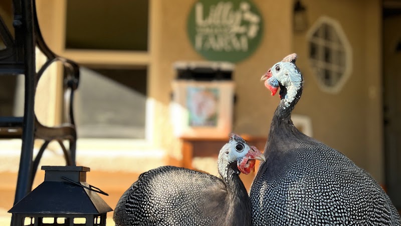 Photo of Lilly Valley Farm