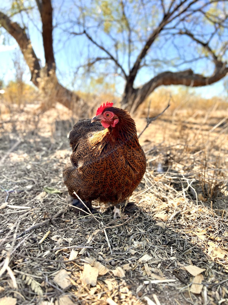 Lilly Valley Farm photo 5