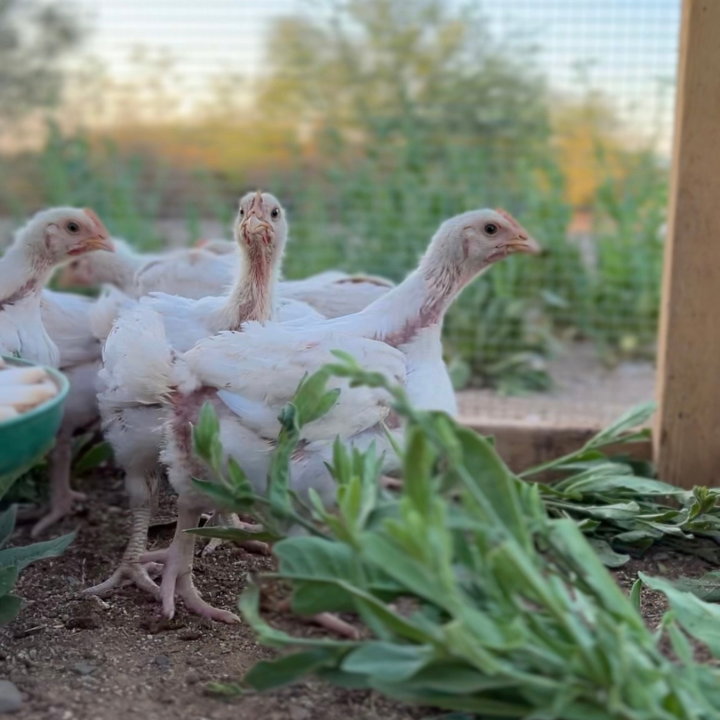 Lilly Valley Farm photo 2