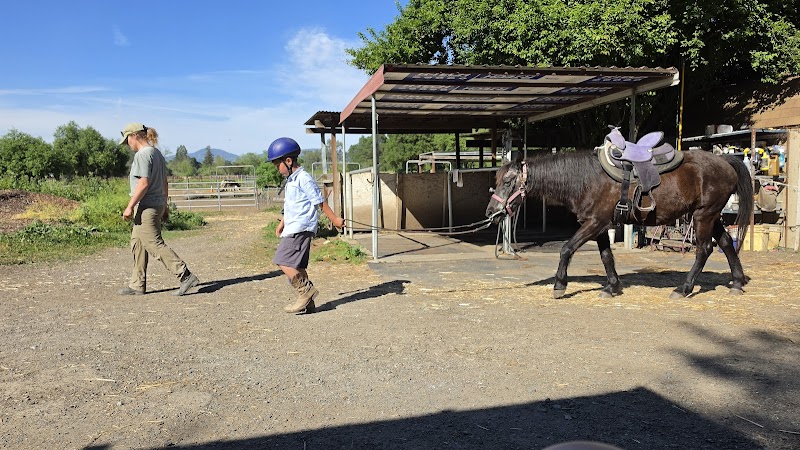 Photo of Red's riding school